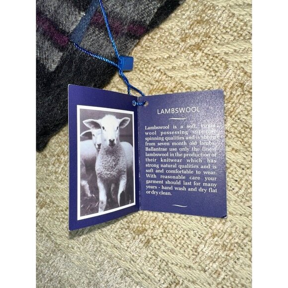 NWT BALLANTRAE EDINBURGH 100% LAMBSWOOL NAVY TARTAN PLAID SCARF FRINGE ENDS NEW! - Picture 3 of 4